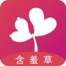 茄子tv安装包