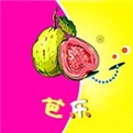 免费的短视频app大全ios